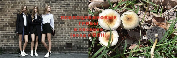 apvp Алексеевка